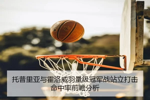 托普里亚与霍洛威羽量级冠军战站立打击命中率前瞻分析